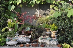 garden : Peter Janke  D