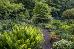 Garten : Peter  Janke Deutschland