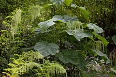 Garten : Peter Janke, Deutschland
