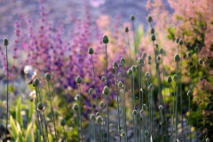 Garten : Peter Janke, Deutschland