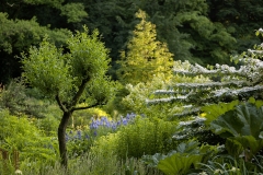Garten : Petr Janke Deutschland