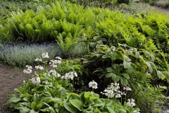 Garten : Peter Janke, Deutschland