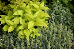 Garten : Peter Janke, Deutschland