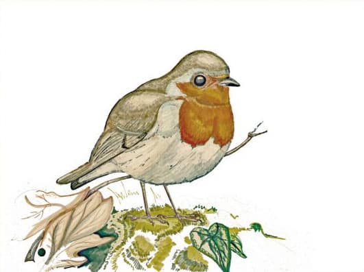 Birds of the HORTVS, Karte, Peter Janke Gartenkonzepte