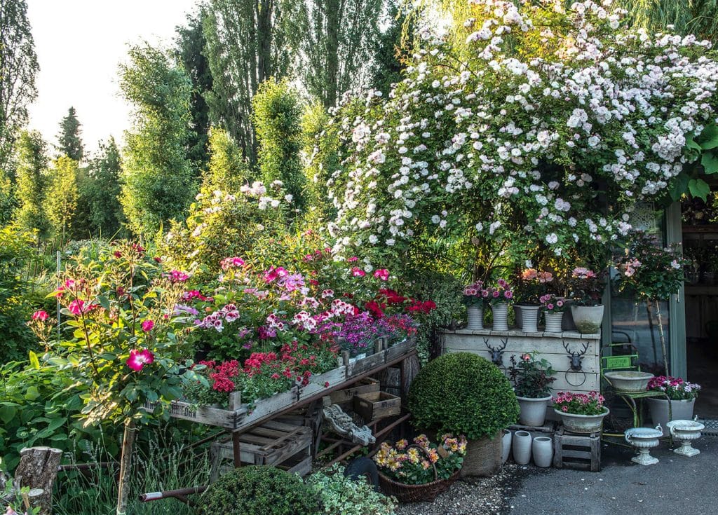 Galerie Floristik, Peter Janke Gartenkonzepte