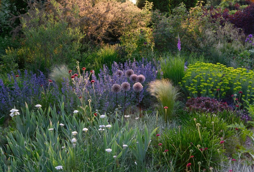 Sliderbild 05 Mai, Peter Janke Gartenkonzepte