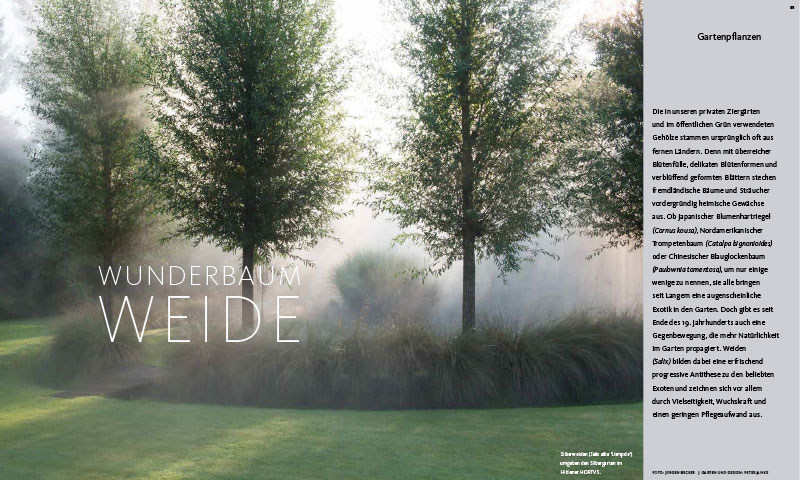 Kolumne, Peter Janke Gartenkonzepte