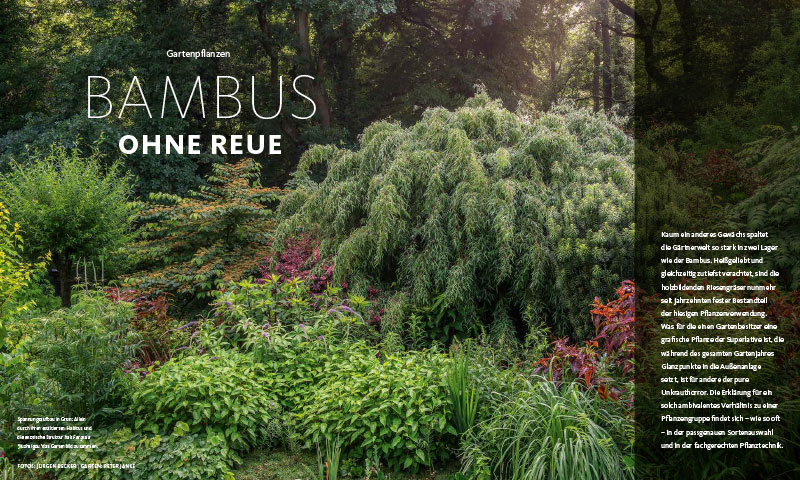 Kolumne, Peter Janke Gartenkonzepte