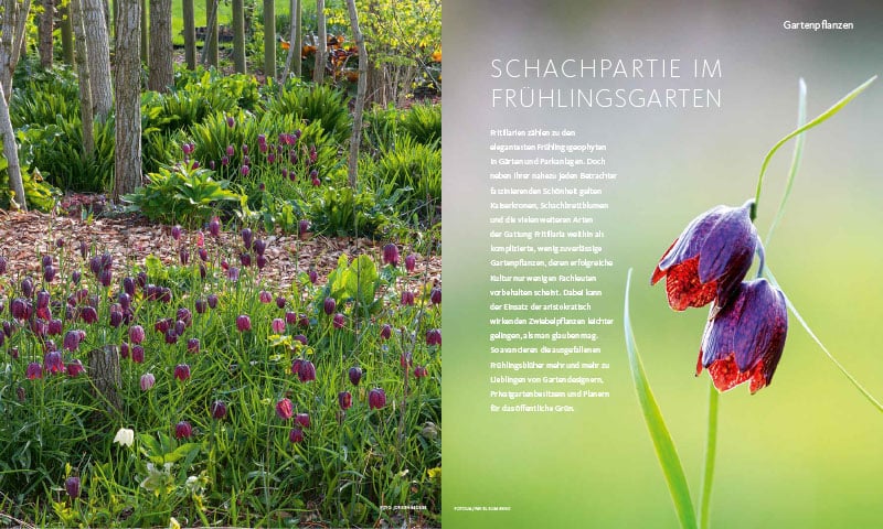 Kolumne, Peter Janke Gartenkonzepte