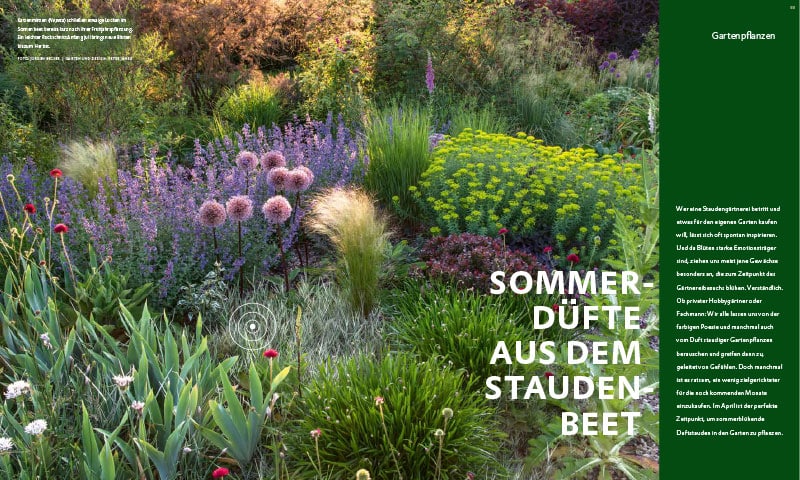 Kolumne, Peter Janke Gartenkonzepte