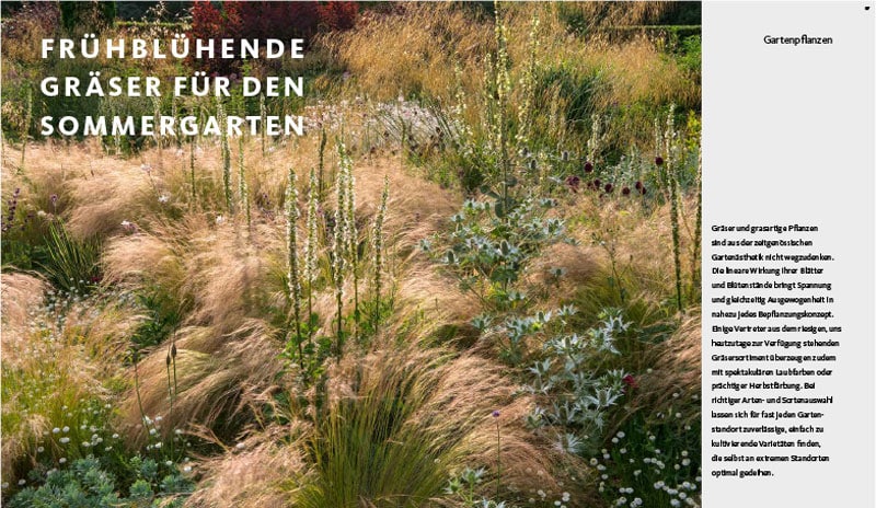 Kolumne, Peter Janke Gartenkonzepte