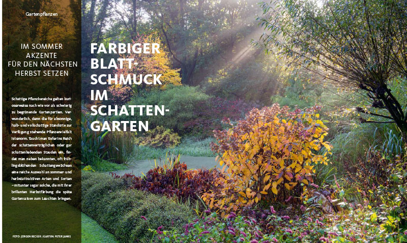 Kolumne, Peter Janke Gartenkonzepte