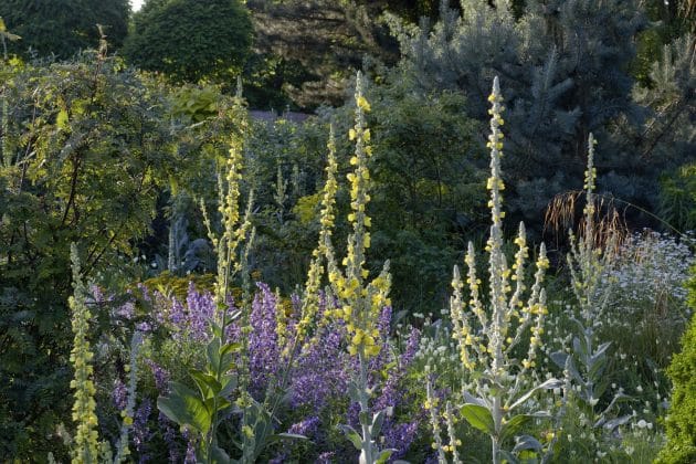 Radiobeitrag und Fotostrecke zu trockenheitsverträglichen Stauden in der WDR4-Gartenreihe „Drinnen und Draußen