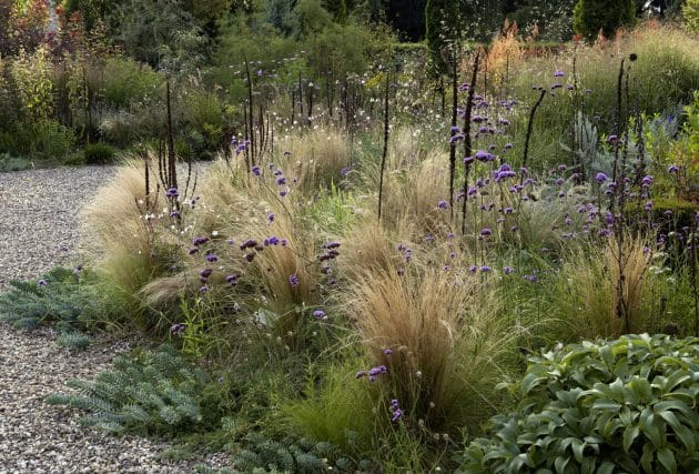 Radiobeitrag und Fotostrecke zum Gräserschnitt in der WDR4-Gartenreihe „Drinnen und Draußen“