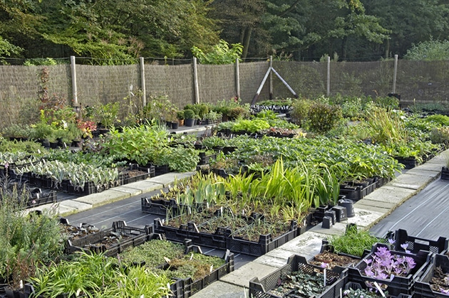 plant range, Peter Janke Garden Concepts