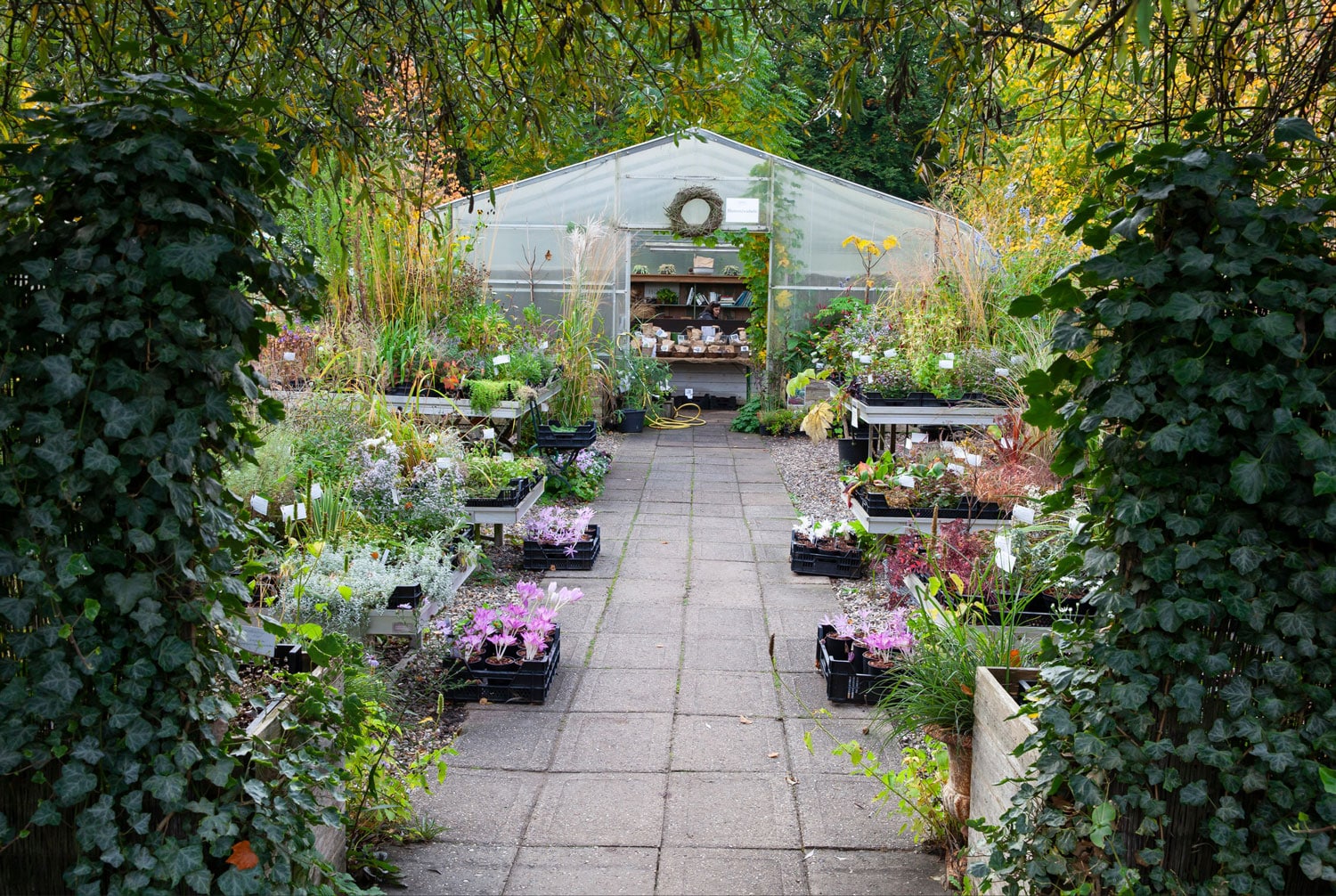 Nursery, garden design, Peter Janke Garden Concepts