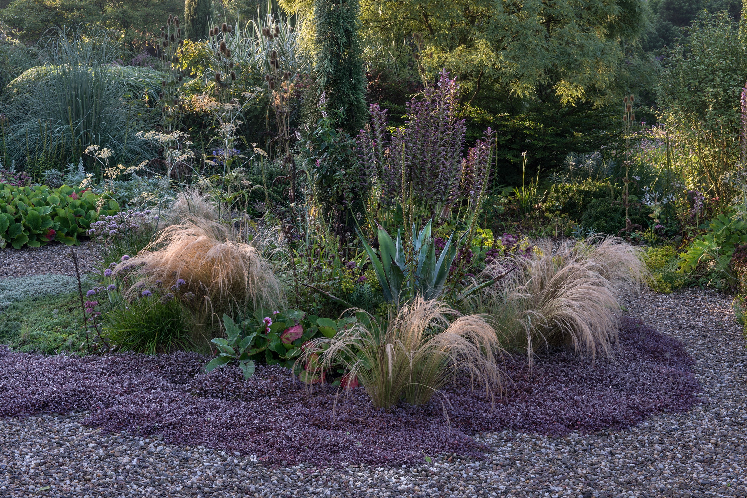 Sliderbild August, Peter Janke Gartenkonzepte, Gartenplanung, Gartenkonzepte, Floristik, Sommergarten,