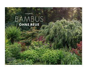 Bambus ohne Reue