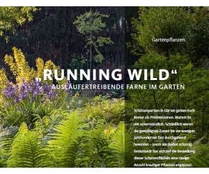 Running Wild. Ausläufertreibende Farne im Garten.