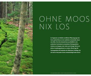 Ohne Moos nix los