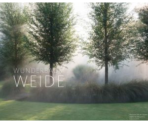 Wunderbaum Weide