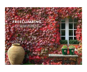 Freeclimbing