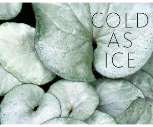 Cold as Ice