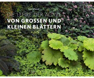 Die Lehre der Agave